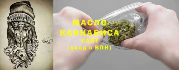 эйфоретик Вяземский