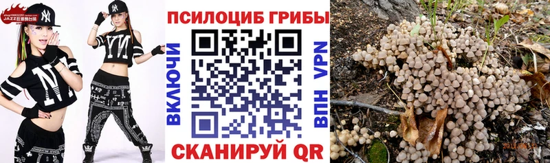 это телеграм  Бердск  Псилоцибиновые грибы Psilocybine cubensis  mega ТОР 